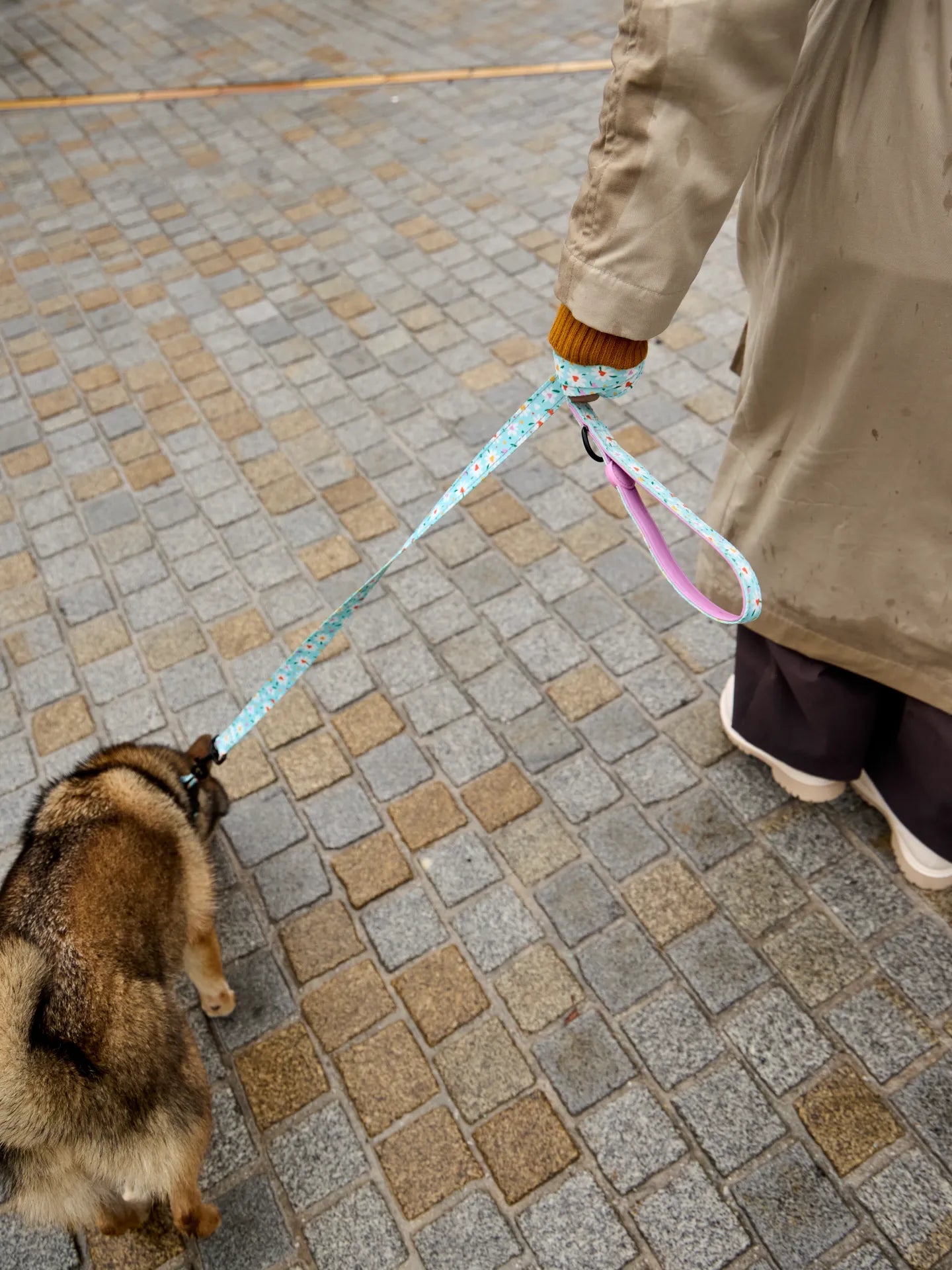 dog-leash-hearts-daisies-09/0987532fb10fb2e20f87fcb2abbebcb9a2e9ff3d