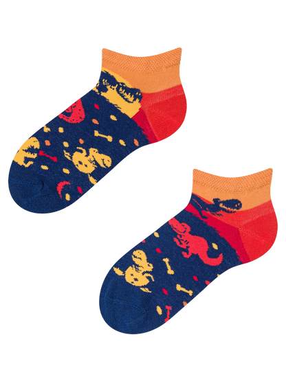 kids-ankle-socks-dinosaur-world-26/265e05a66ebe0a826d8ee2297e7b29b7ba39f198