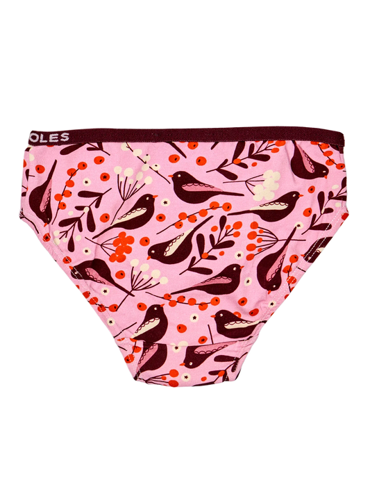 girls-briefs-birds-berries-1d/1d437497be6190bdf111d8613a19386c9e0c3424