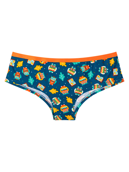 womens-hipster-briefs-wise-owl-1f/1fba3180f94ec0eb4ca75937e381e20b980d5971
