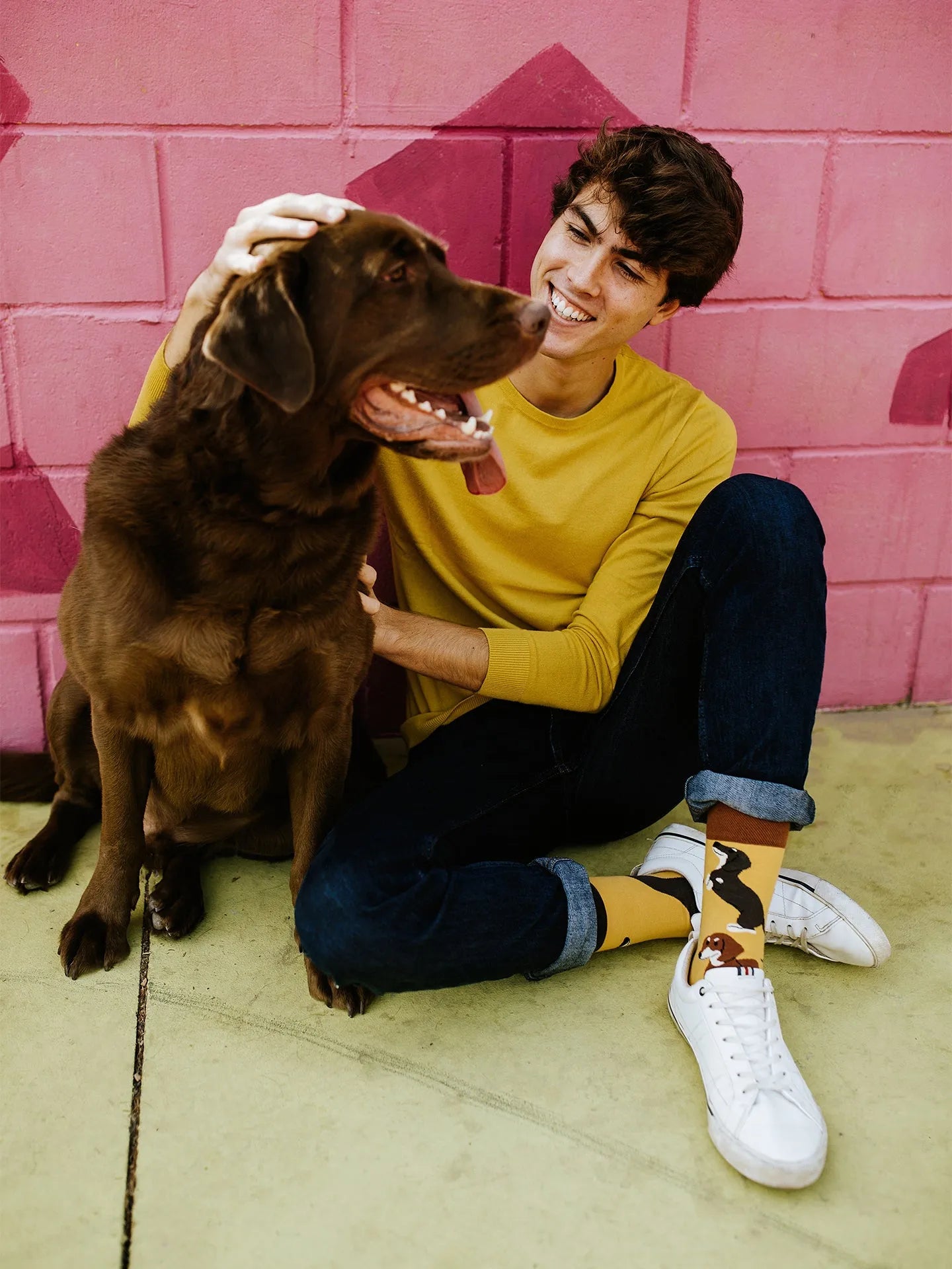 regular-socks-dachshunds-02-e1/e1bcf5e995d6d3b9b44fdf60117df300221a598b