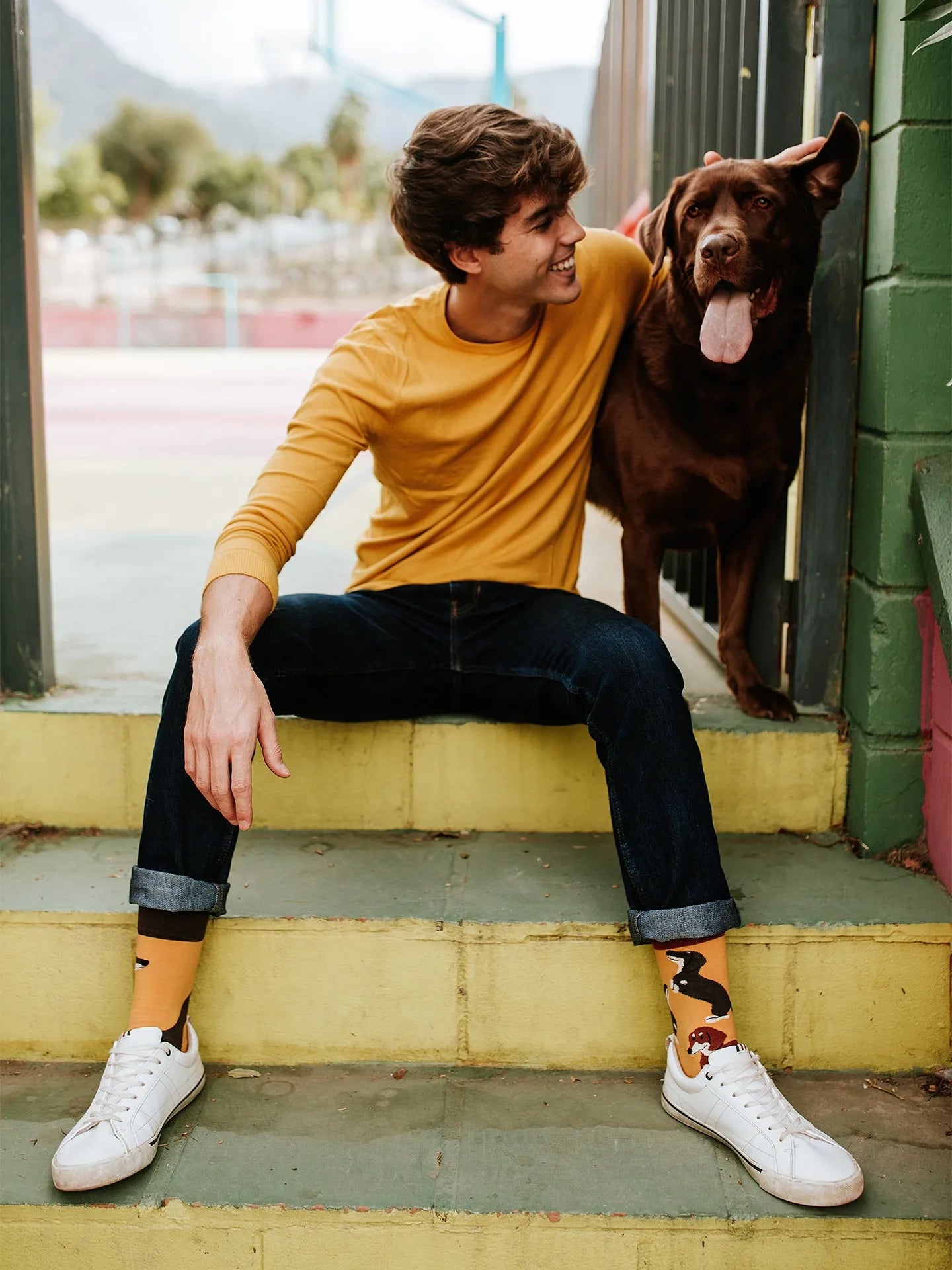 regular-socks-dachshunds-02-80/807ae6f3eae2b1e4b1948670aecf18d05b9a8841