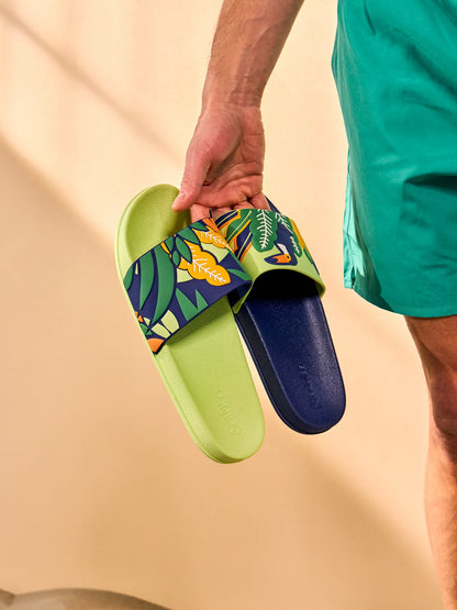 slides-toucan-leaves-3f/3f37ac0b6e684cbb2755e722bb6e946112062302