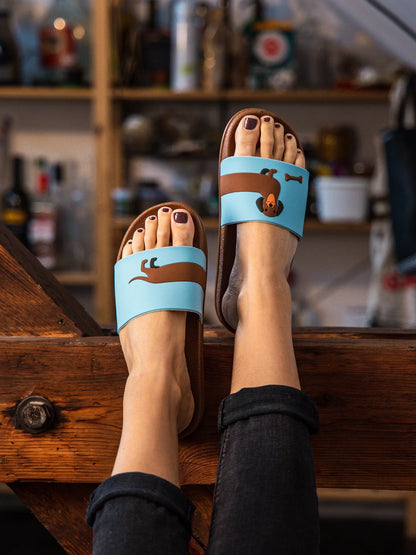 slides-long-dachshund-49/494d8f9a923c44efa30297a248efe033afaa35fd