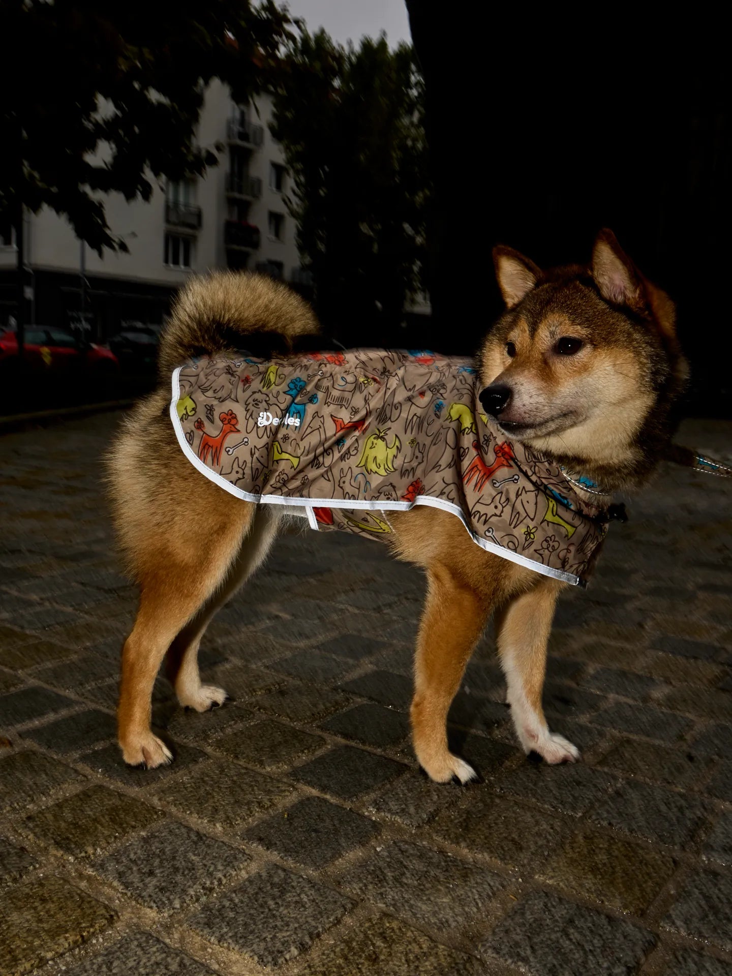 dog-raincoat-dog-pack-2d/2d64836fbe9b55e4d2f45ee81f1576c0b808ae72