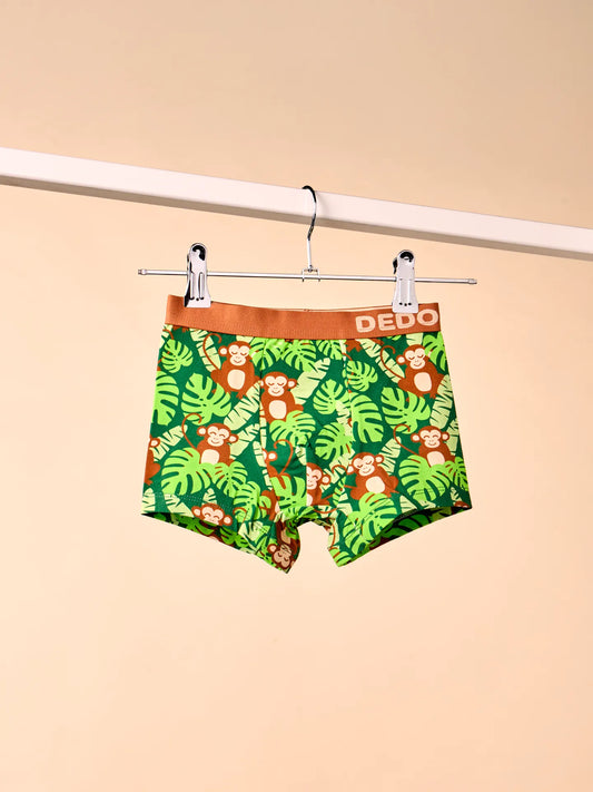 boys-boxers-little-monkey-55/55ece0e442bfaef9305ef513245b90a604818360
