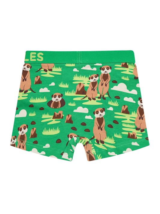 boys-boxers-meerkats-okt-59/59019fb9791155604cf6593d856e1ea5e1b47297