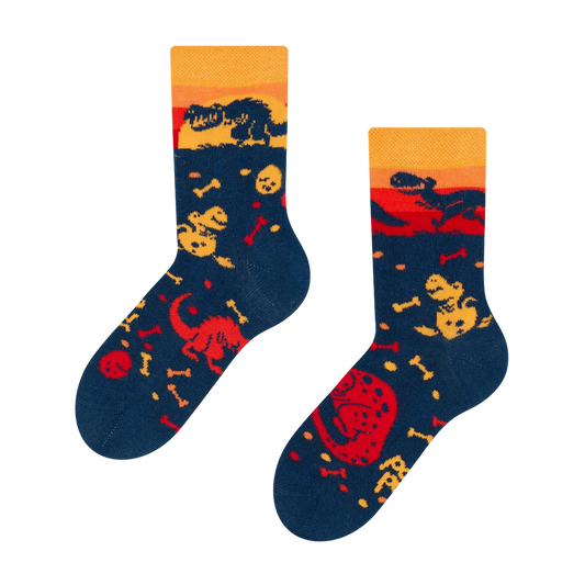 kids-socks-dinosaur-world-b2/b23fee604a10d13db9518512cecebe2acce9a430