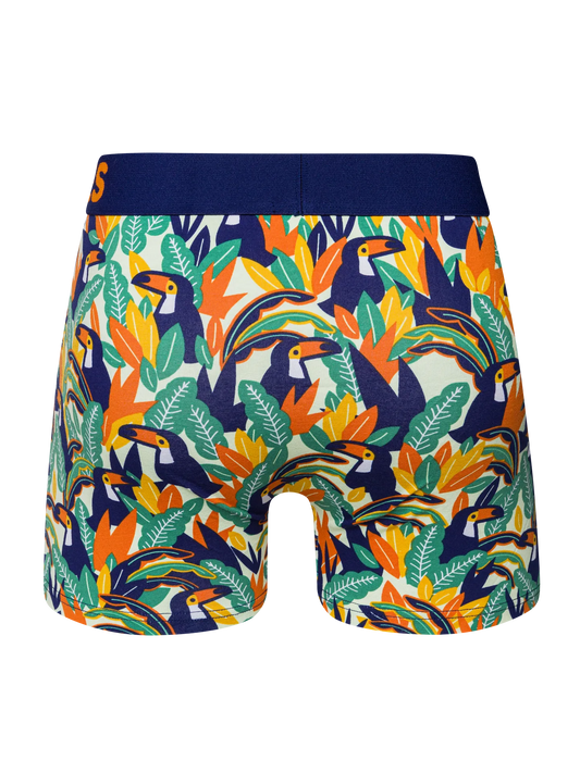 mens-trunks-toucan-leaves-6c/6cdf776dcd7338bddb6dd79ea0561ad60e3ebc19