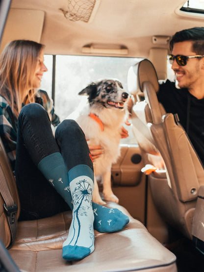 regular-socks-dandelion-02-5e/5eca9b8d78fda690976da7ef1ad50746144323a0