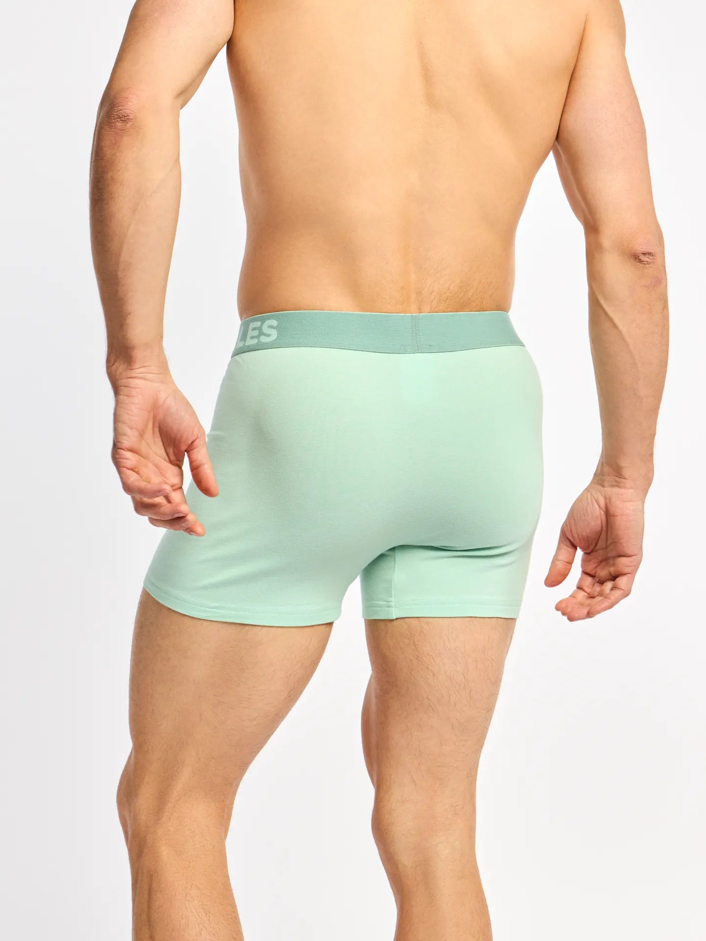 mint-green-mens-trunks-c8/c8b50239cad4dec926a63f4ecec6f0c2485ce7cf