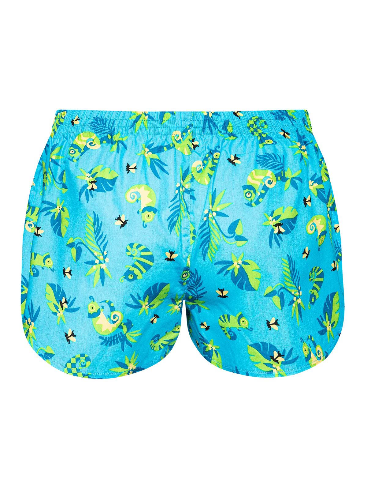 womens-boxer-shorts-chameleon-and-flies-6f/6fab4f38b0f0aa5a90e41df8b765b2f52d34bb04