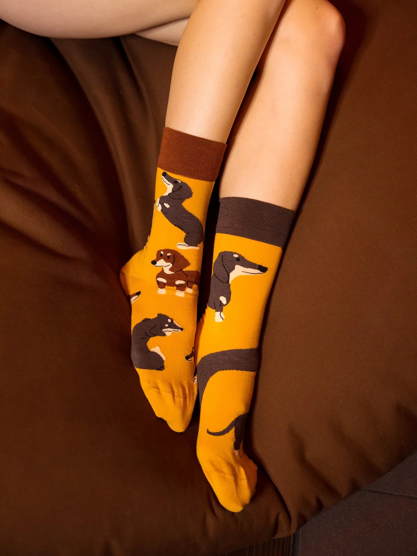 regular-socks-dachshunds-02-fb/fbaca3e48b7234e9c38abd63252e0f2a21a53511