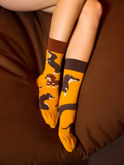 regular-socks-dachshunds-02-fb/fbaca3e48b7234e9c38abd63252e0f2a21a53511
