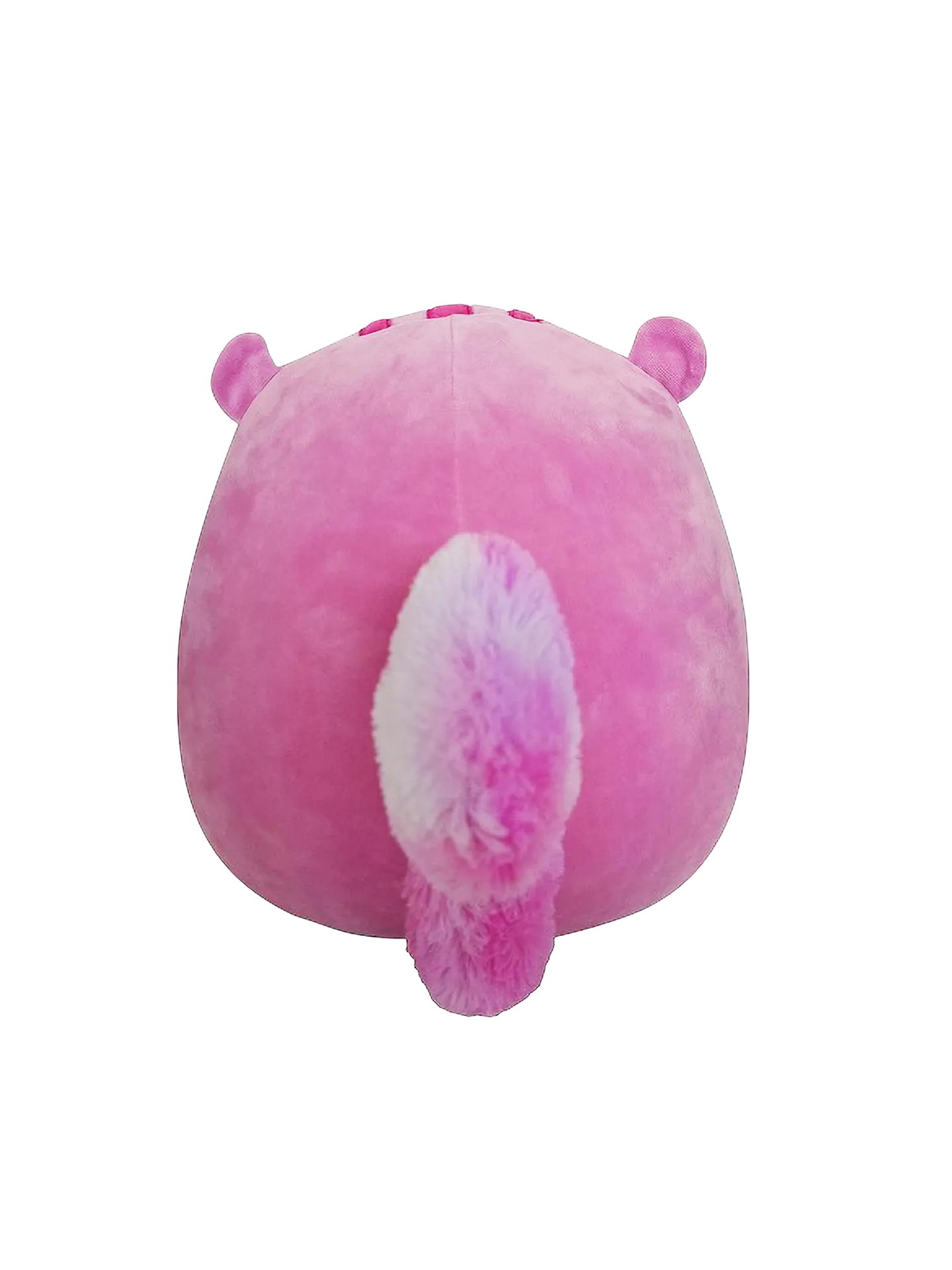 squishmallows-allina-the-squirrel-20-cm-f0/f0acdf65a76542be5f11d36dff118d841fe1e817