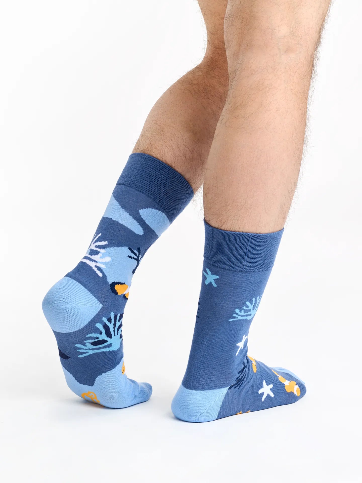 regular-socks-clown-fish-02-7d/7d23d6ac57c2b781bb8ec82c7018c7e15fe1be05