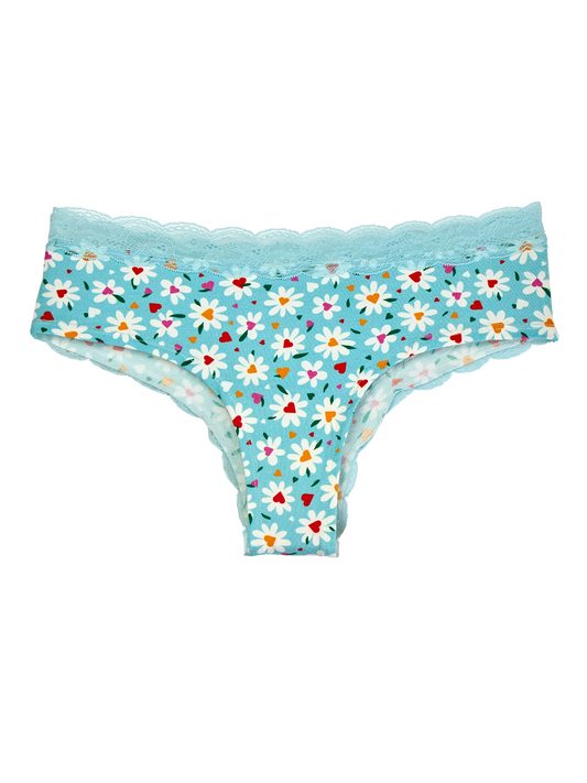 women-s-lace-hipster-briefs-hearts-daisies-fe/fe6229b70a66a95e982b511c6645e5e49a8b73e2