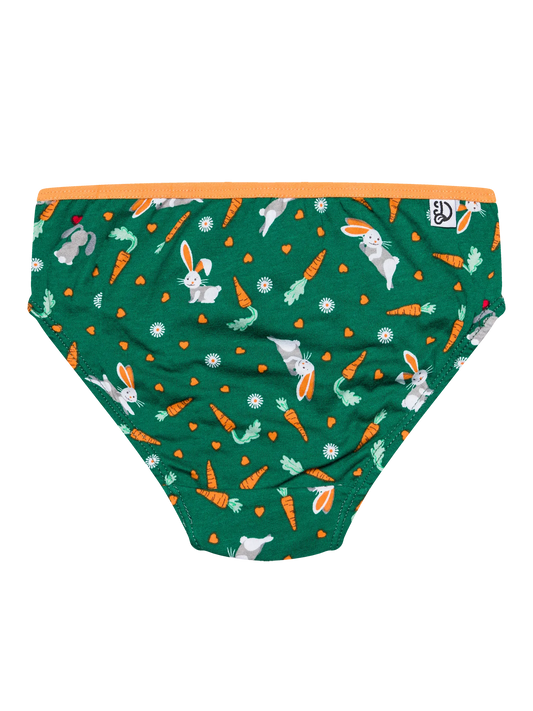 girls-briefs-rabbit-and-carrot-c3/c3fd0e3d0ab90c50a8e5b9510049d63f2c346e55