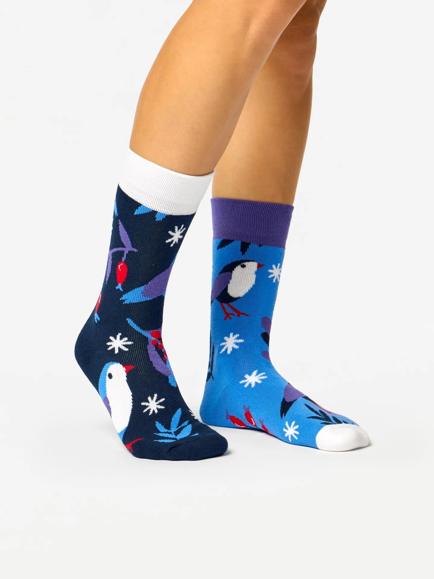 warm-socks-bird-in-winter-12/12c199fb22fd198f458d1b91a3dc0c8052d3c6e3
