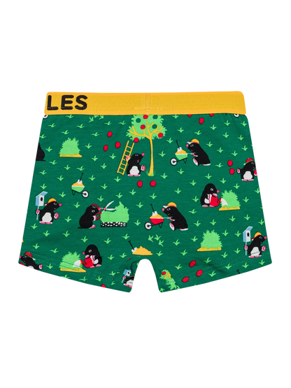 boys-boxers-mole-okt-21/21d55389904c1fe08cba71666711bccc782aaa95