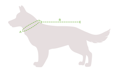 Dežni plašči za pse