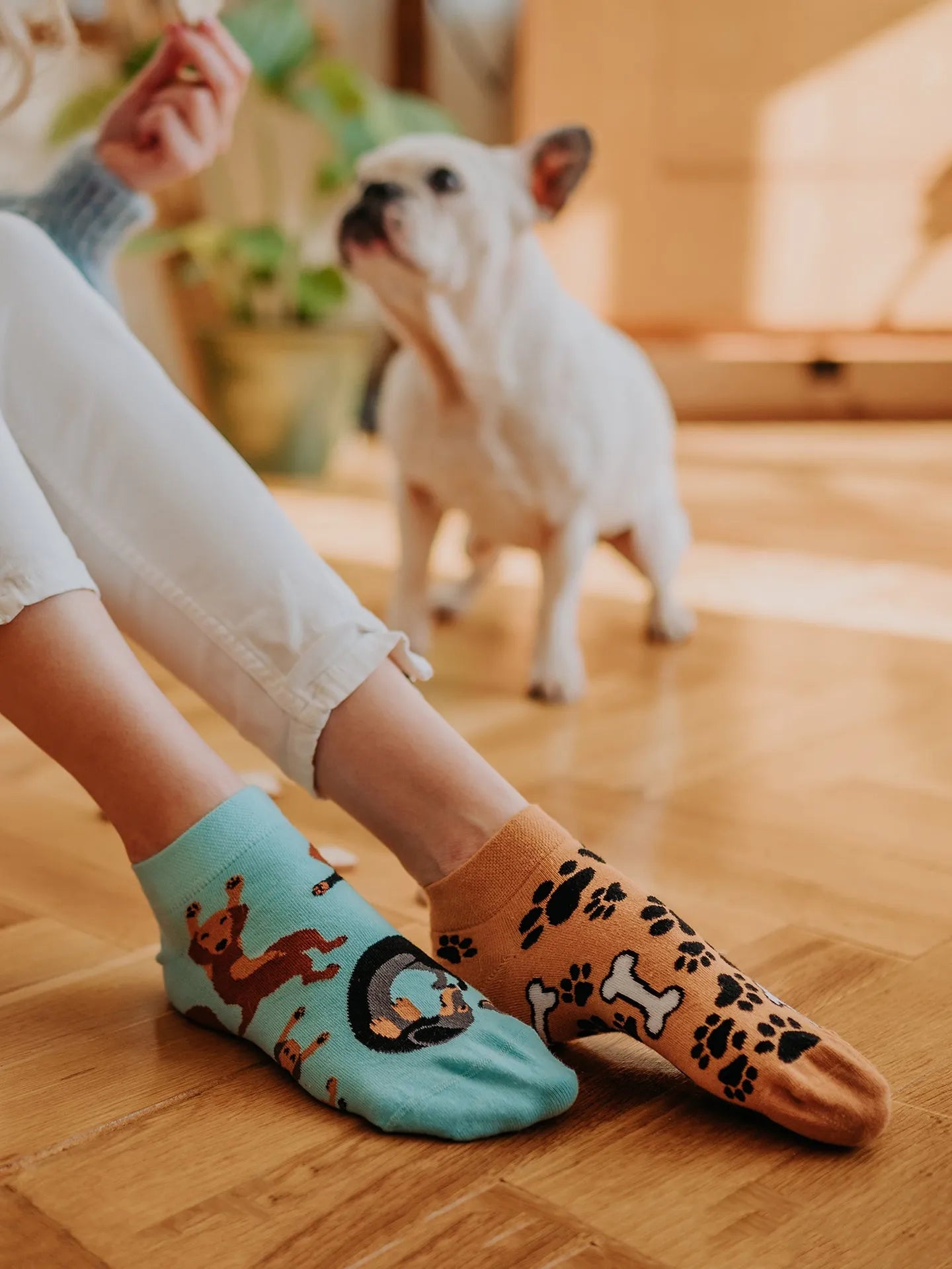 ankle-socks-dachshund-02-a6/a653d54b25067c680ddf3943485746eb705cbe05