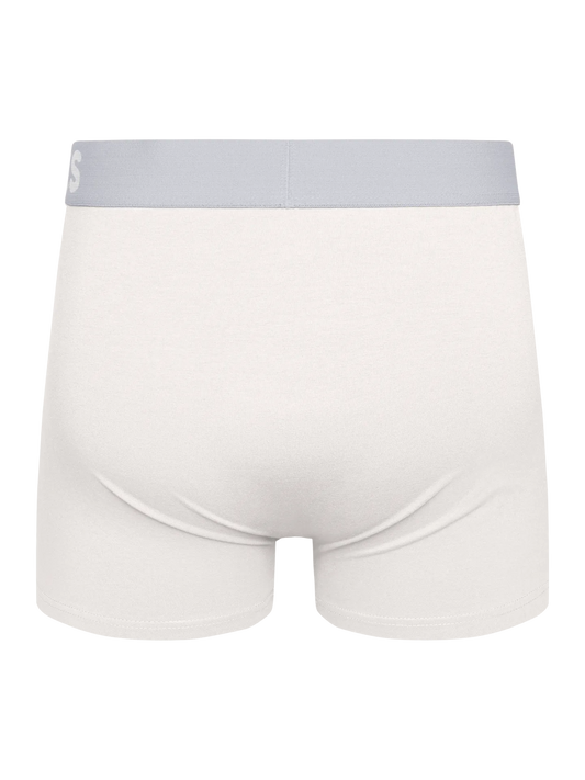 true-white-mens-trunks-okt-96/96aa86111560456657db90fd8ad059845ef35be7