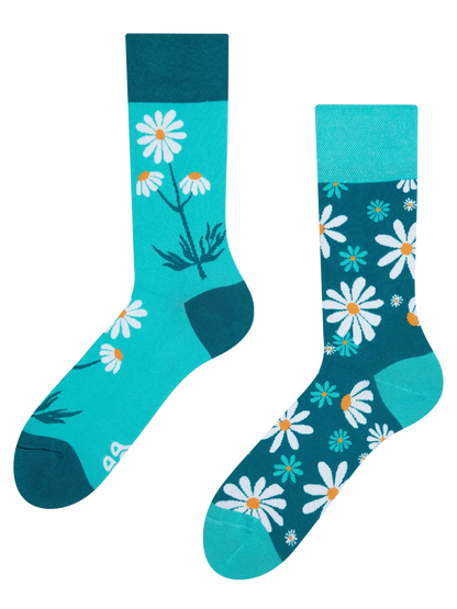 regular-socks-chamomile-02-2b/2b13708f1594b2c9c54f689f96c631db1f4b2ead
