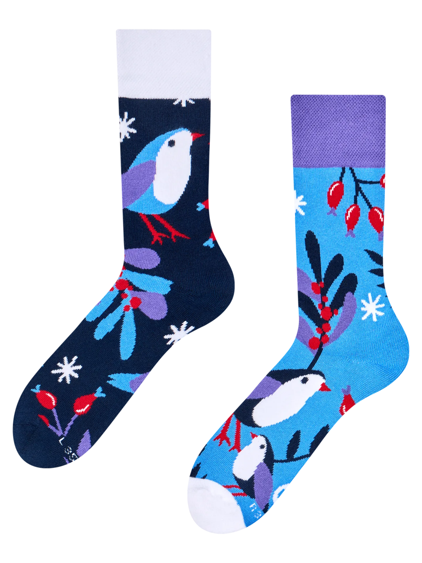 warm-socks-bird-in-winter-a9/a9f34c398e8e2fe89803b6408011e4302ce41f83