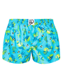 womens-boxer-shorts-chameleon-and-flies-af/af07ada7efc47ba6007f3aed477d133a01259e50