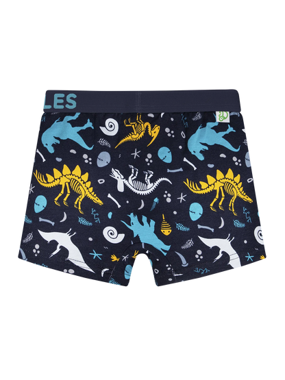 boys-boxers-dinosaurs-okt-95/95d7369534e43ee59f2ddc3b47b85bc6916cc3c1