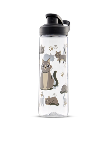 Živahna steklenica za vodo Siva mačka 700 ml