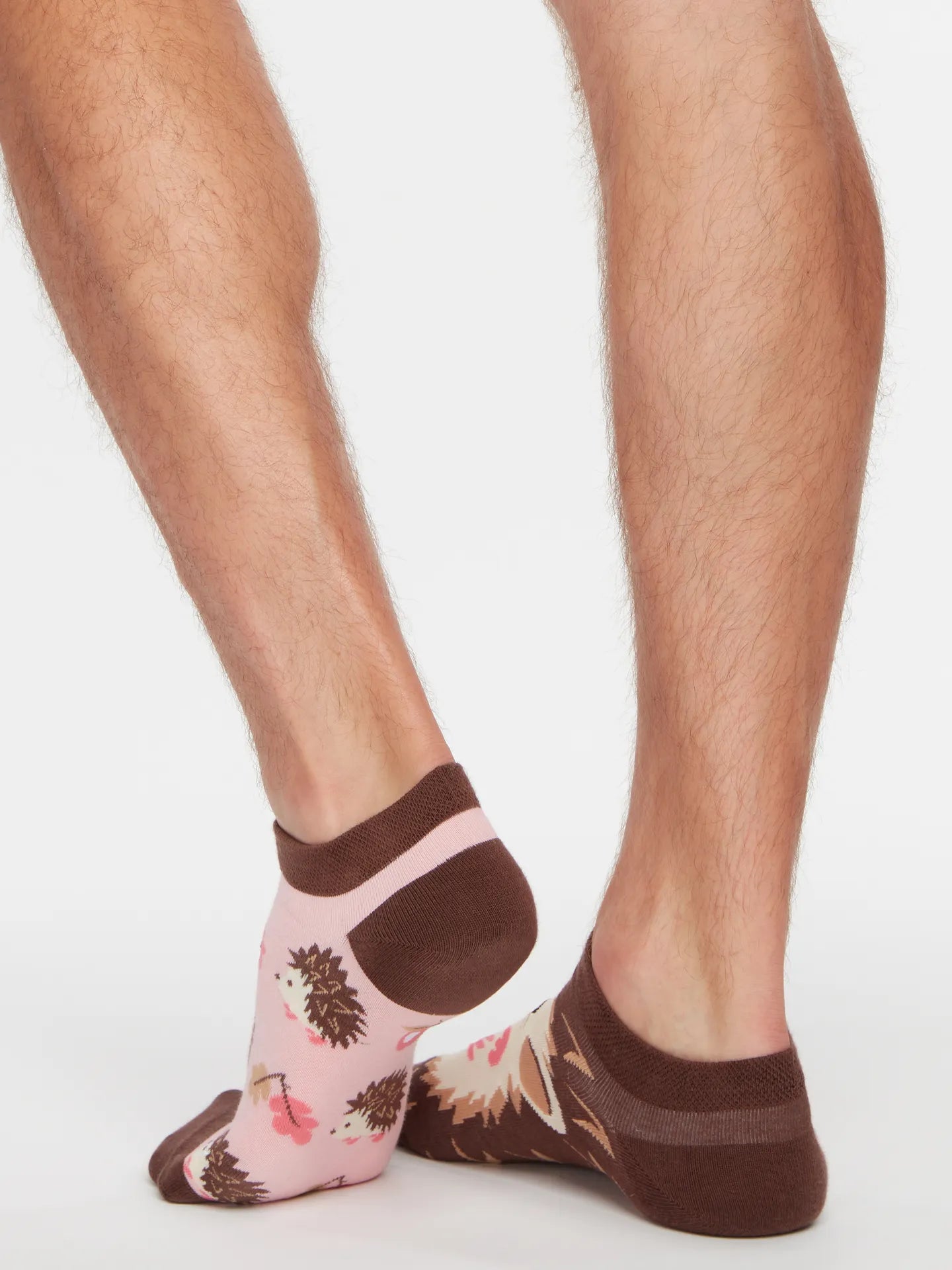 ankle-socks-hedgehog-02-78/78114f83a0a63191b190e15a1490079ad1a68936