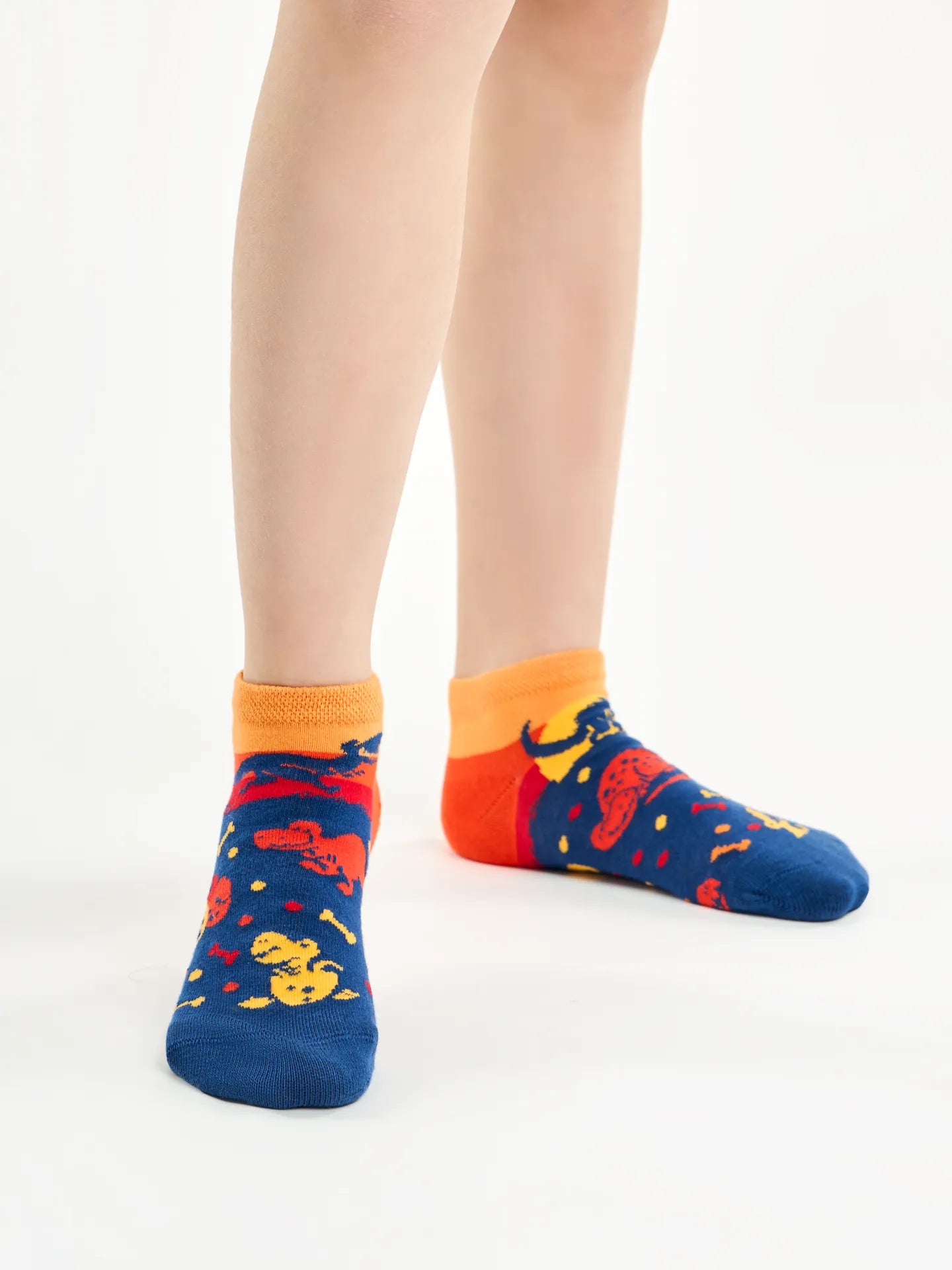 kids-ankle-socks-dinosaur-world-b0/b0a2c70c79d066473157f540762c2d02724c9e57