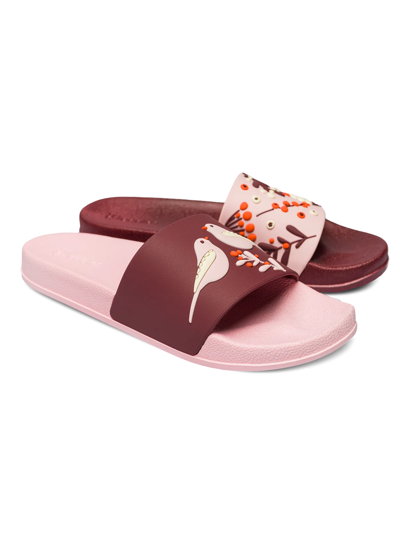 slides-birds-berries-f9/f9e30be02e390b62939a2af47571a1dc8001462a