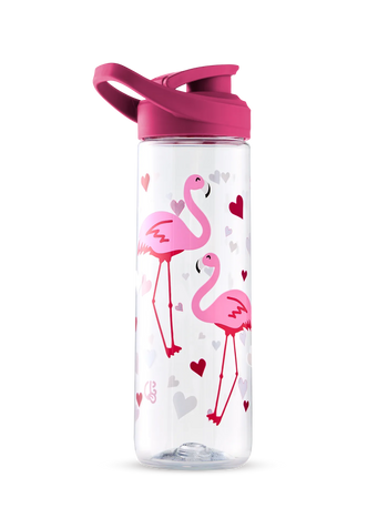 Živahna steklenica za vodo Srčki in flamingi, 700 ml