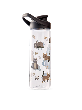 Živahna steklenica za vodo Siva mačka 700 ml