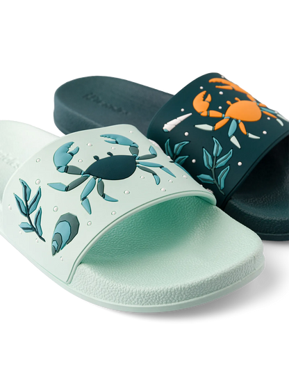 slides-sea-crab-d7/d70a0620183a791c4ed20a87a21d05ab2faa1321