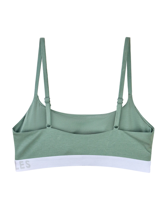 sage-green-womens-modal-brassiere-6a/6a3704714ac6ea53036ff79cdd68ef504b5bcbbe