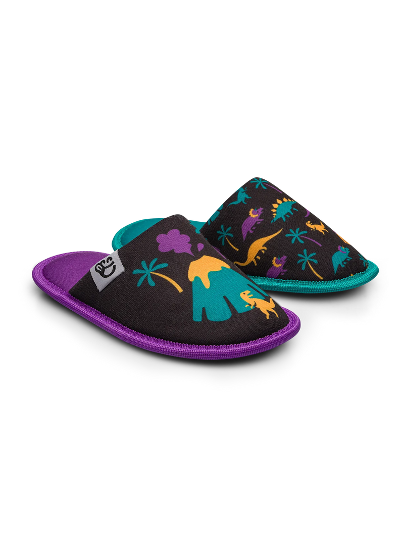 kids-slippers-dinos-volcanos-dd/dd12f75a38f8d01f2ffe4d9e784db2235a90b451