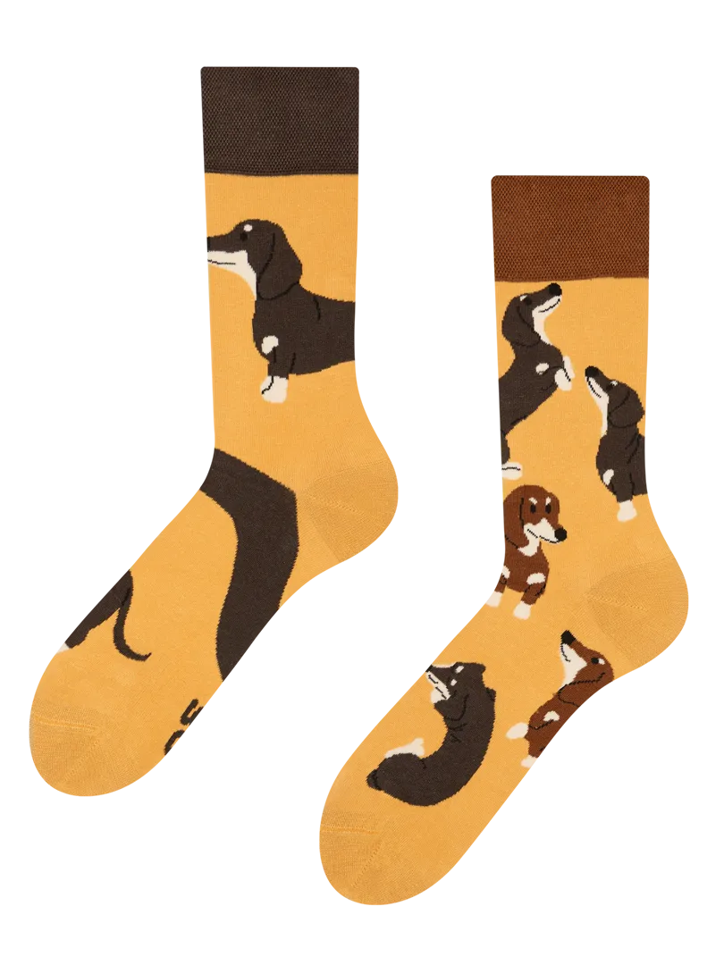 regular-socks-dachshunds-02-7a/7a9d9ee6d92d14ded441c93b34a97d16327984ef