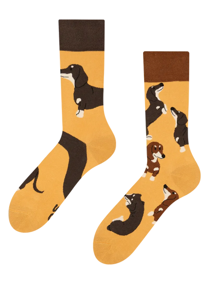 regular-socks-dachshunds-02-7a/7a9d9ee6d92d14ded441c93b34a97d16327984ef