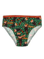 girls-briefs-red-panda-e2/e2702873990d7fb4fd77c4489a432510e1cd34bc