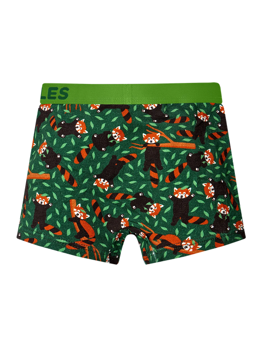 boys-boxers-red-panda-ea/ea99a5b6521c1e950cf05d266e61150e8da4dc45