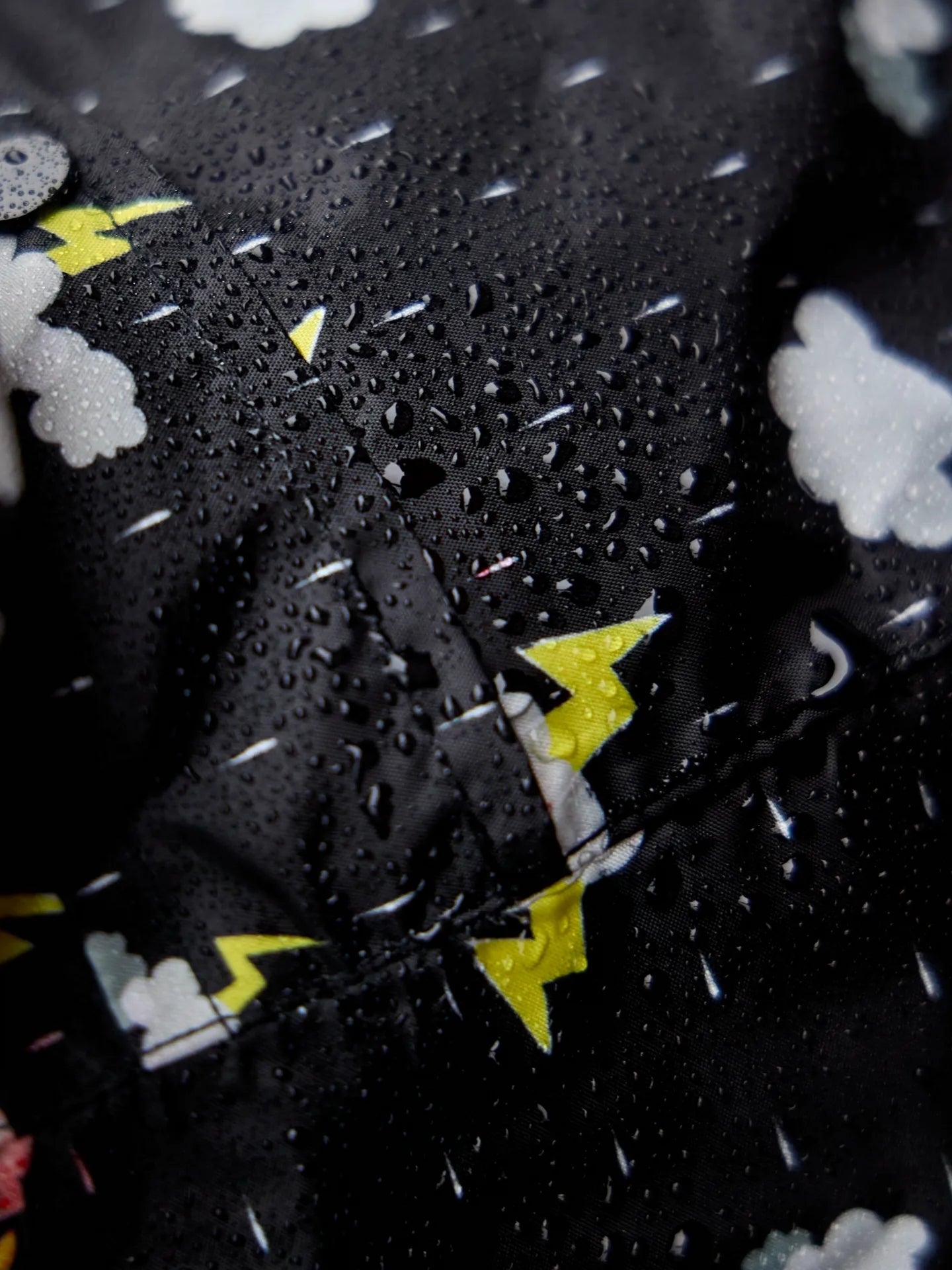 dog-raincoat-storm-f2/f20491b5fc5cc14c758dc3ce451c13c043dfbde9