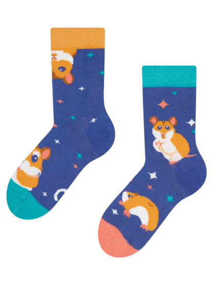 kids-socks-hamster-f6/f60e173598f5de1d9c43d12541b8cc6c9d18f6a3
