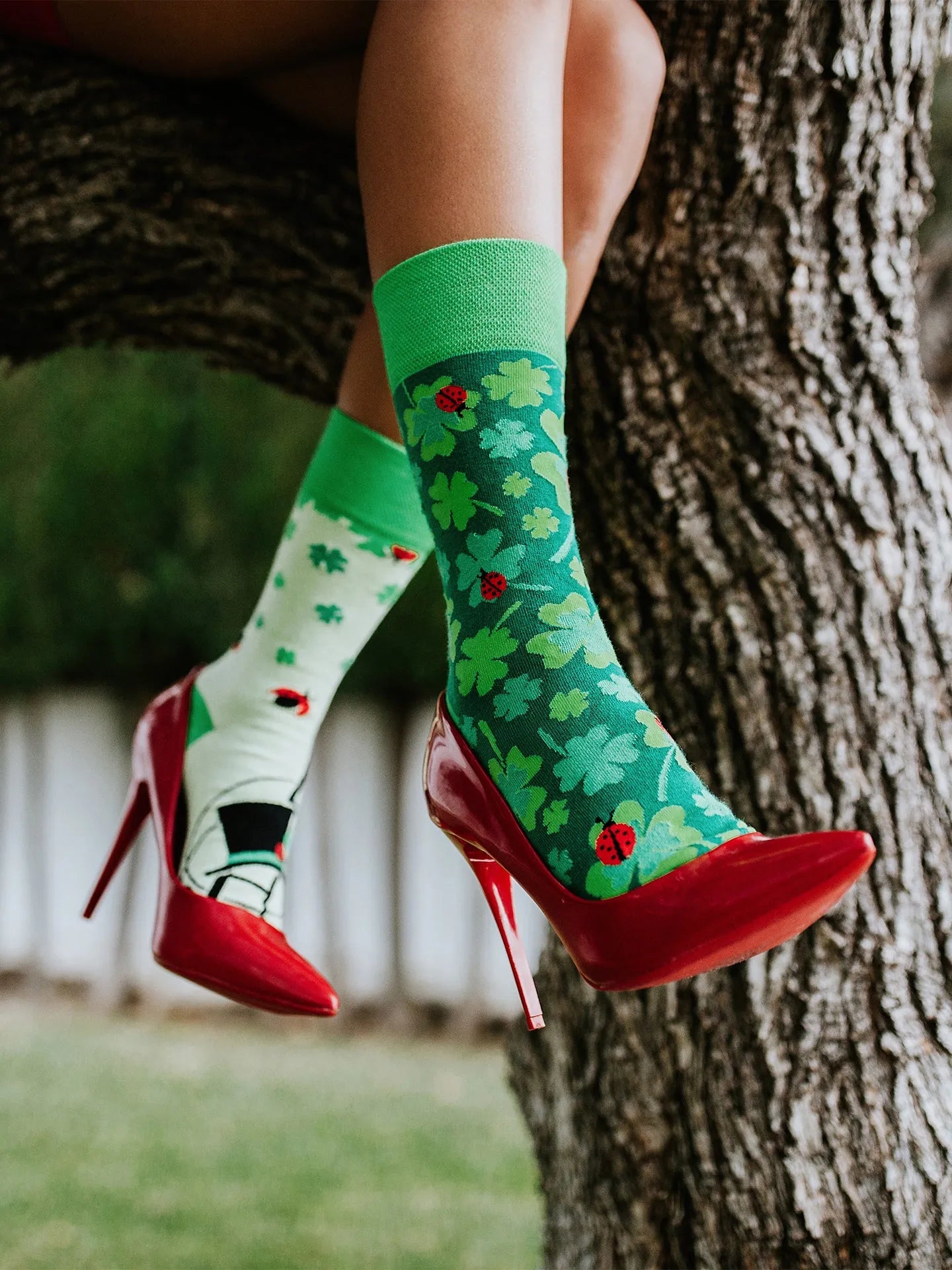 regular-socks-four-leaf-clover-for-luck-02-24/24a68d2a55cf8ab1c3c289974c5760b28dedf964