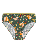 girls-briefs-squirrel-4c/4c892905a5e86d708a5e4f6e007d68fc93596516