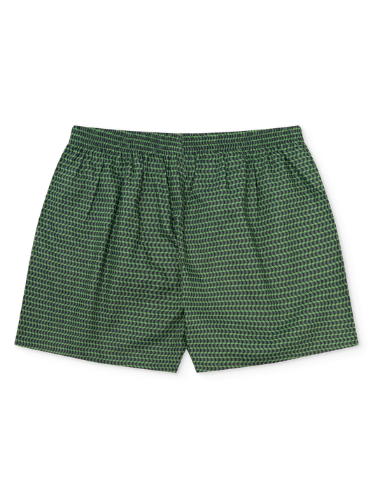 pastel-green-mens-pattern-boxer-shorts-okt-05/05447cf357c536dff180aeaa3fe80fdb018a8420