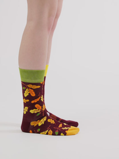 Živahne nogavice Radovedna sova